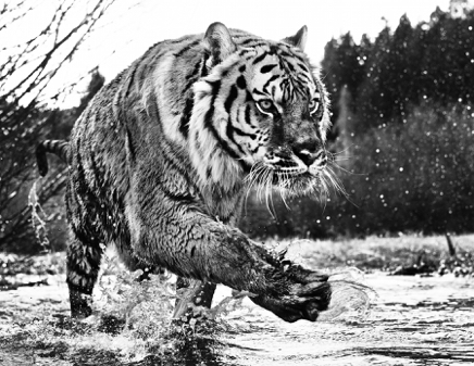 Mystic River © David Yarrow.jpg