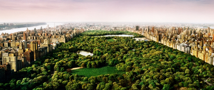 dreamsofcentralpark-2012.jpg