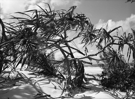 Whitehaven_Beach.jpg