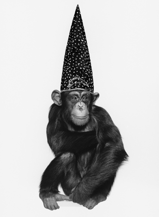 Monkey1992.jpg