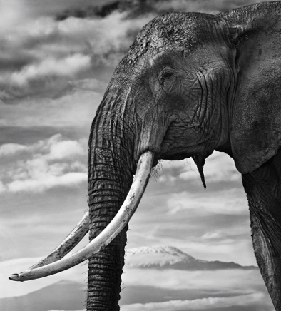 Snow Patrol © David Yarrow.jpg