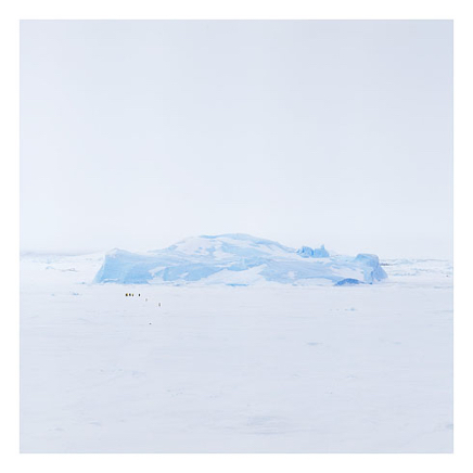 61_blue ice 02, snow hill island, antarctica.jpg