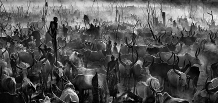 Mankind 3 © David Yarrow