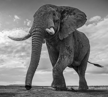 Giant's Kingdom © David Yarrow.jpg