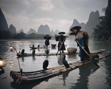 Yangshuo Cormorants